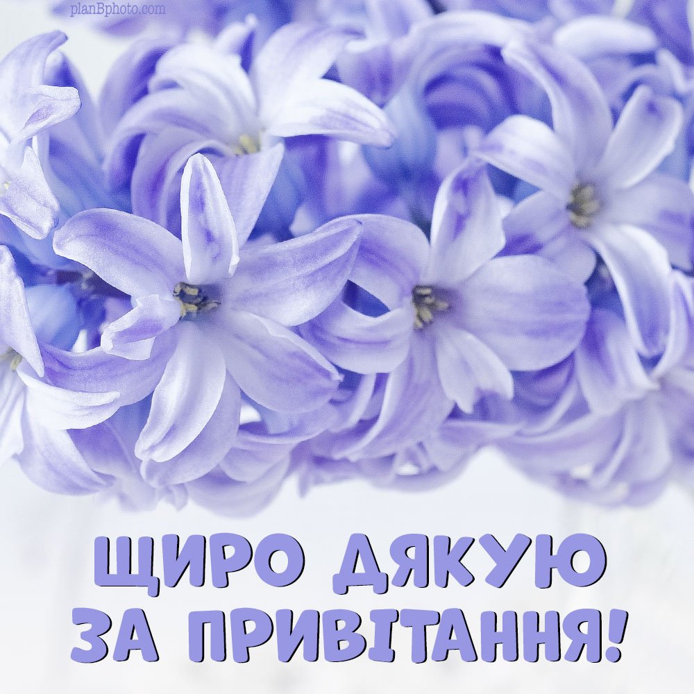 картинка щиро дякую за привітання