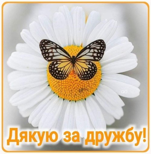 подяка подрузі за дружбу своїми словами