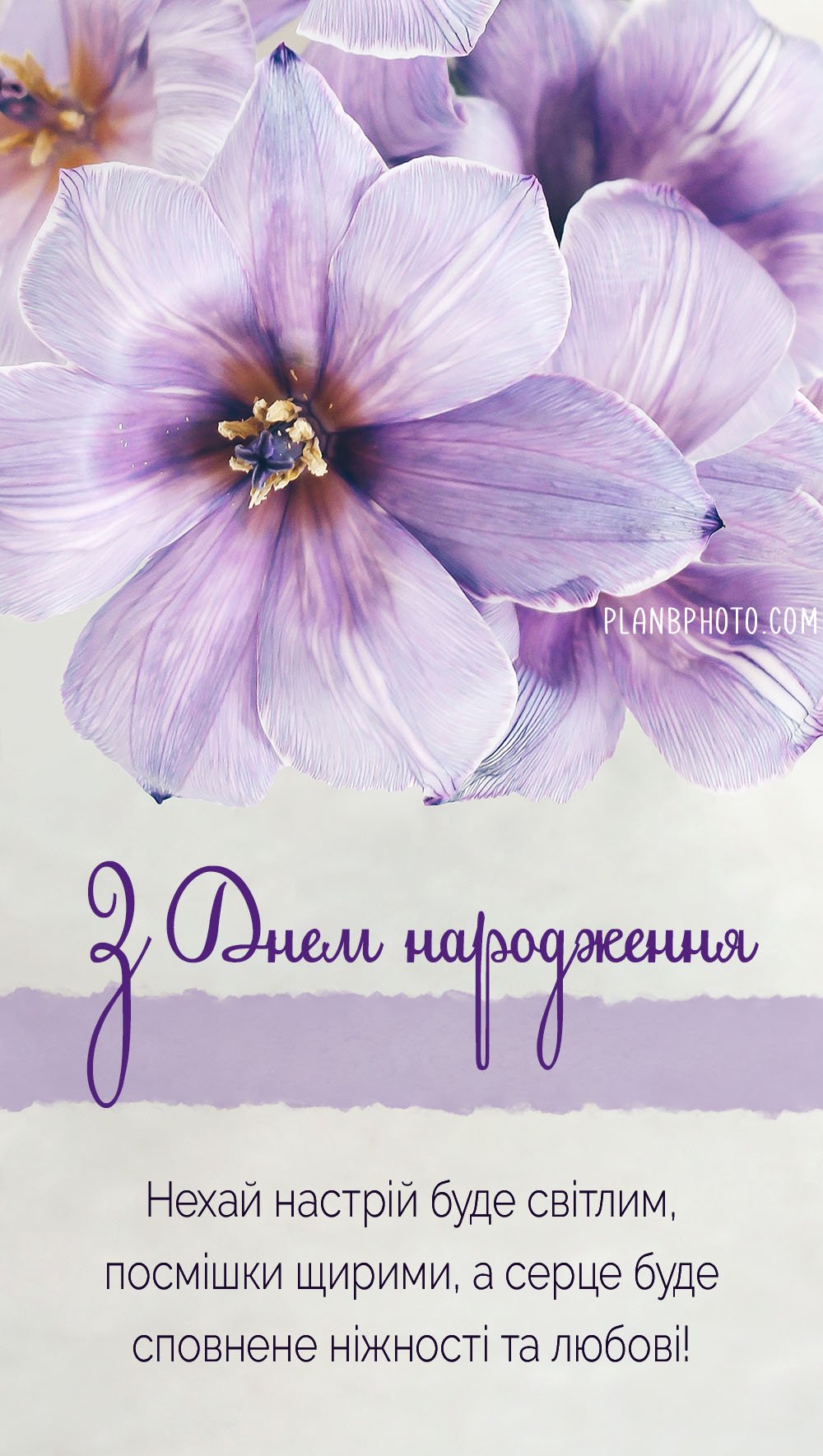 с днем рождения коллеге своими словами